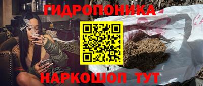 крисы Обнинск