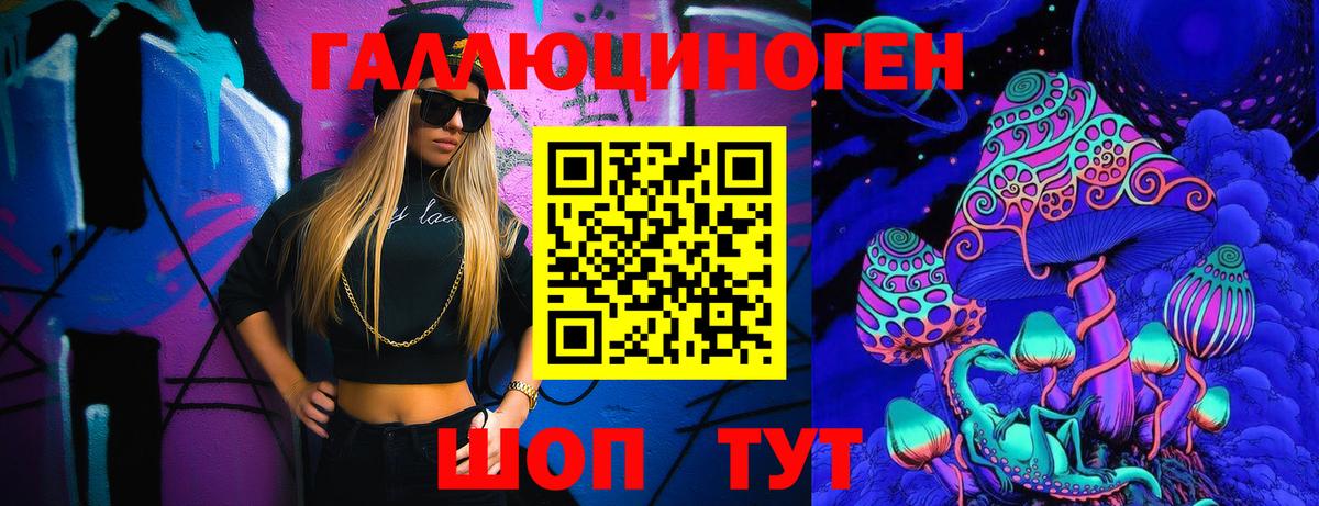 Шебекино  Галлюциногенные грибы Cubensis  Вход с VPN 