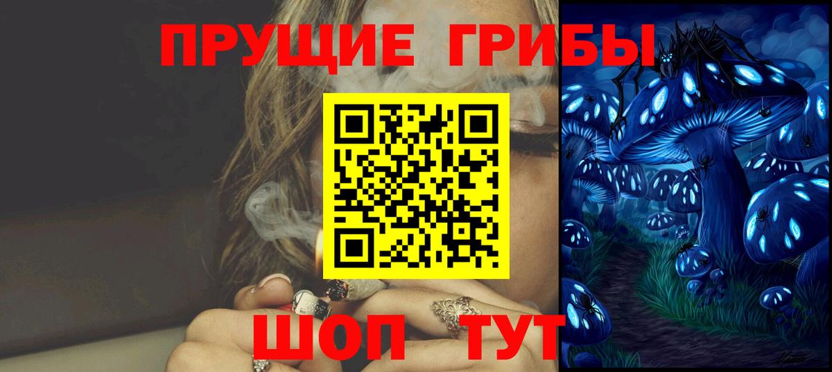 Галлюциногенные грибы Cubensis Шебекино